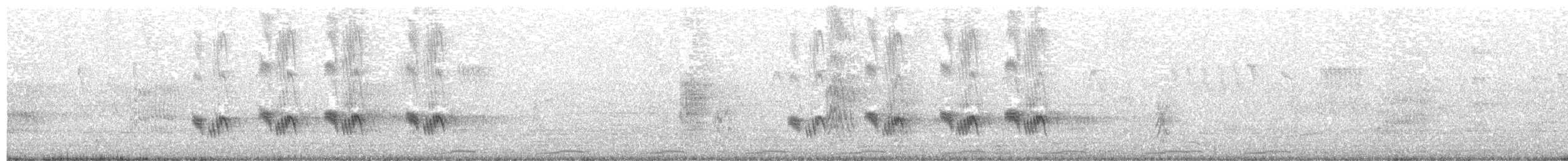 マミジロマネシツグミ - ML639932922