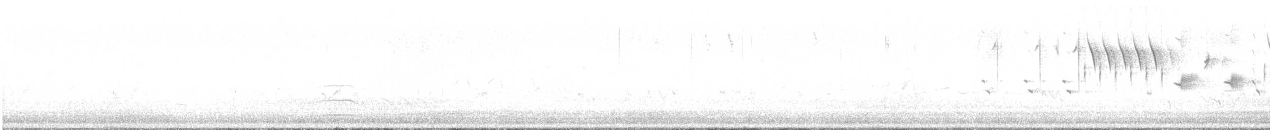 Red Knot - ML639933408