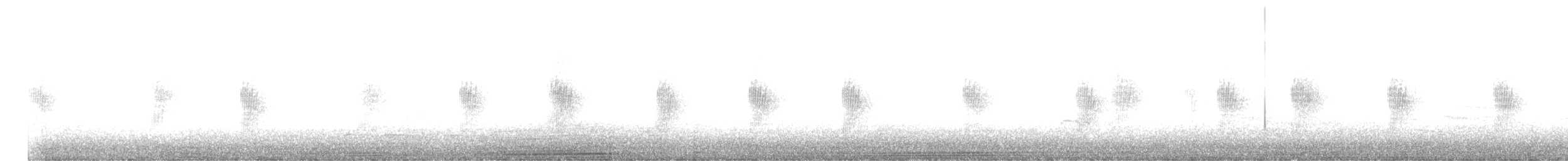 キタオビナシショウドウツバメ - ML639933725