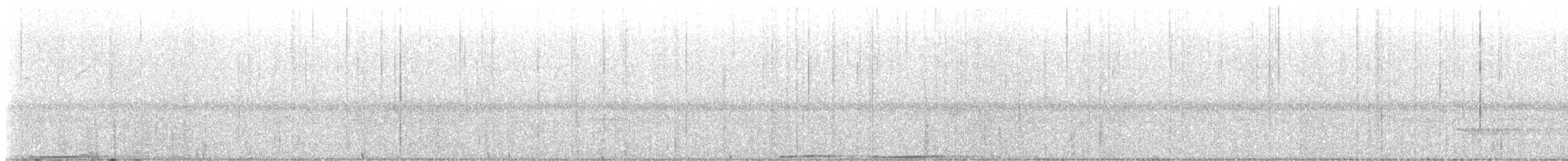 Dark-backed Imperial-Pigeon - ML639934370