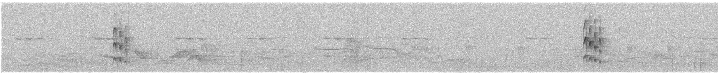 Stub-tailed Spadebill - ML639935473