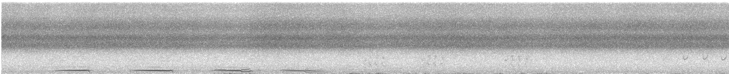Lesser Roadrunner - ML639935734