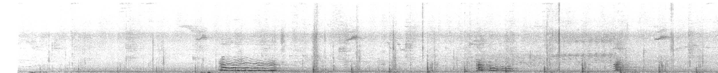 Txioa sp. - ML639938102