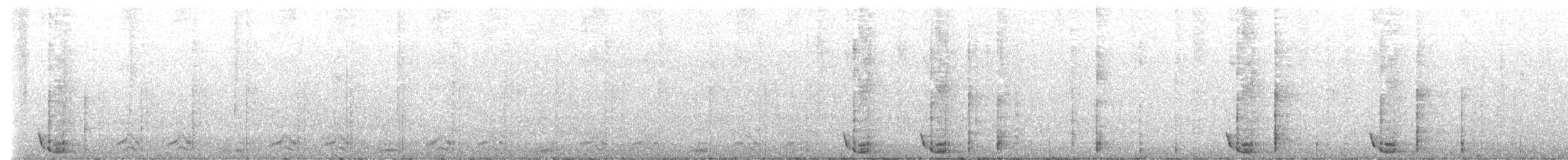 Albert's Lyrebird - ML639938891