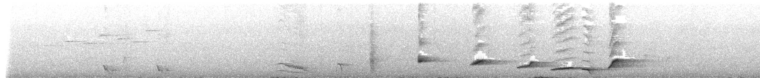 Albert's Lyrebird - ML639938894