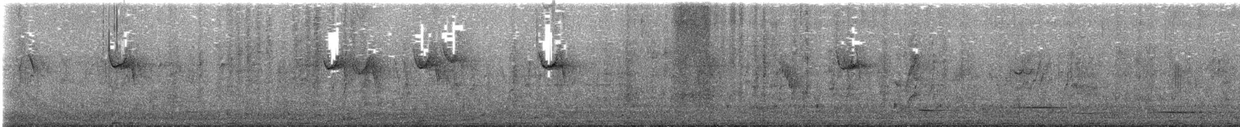 Welcome Swallow - ML639941026
