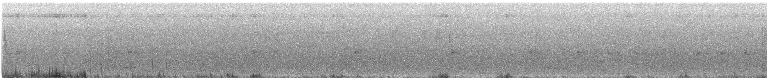 Lewin's Rail - ML639941262
