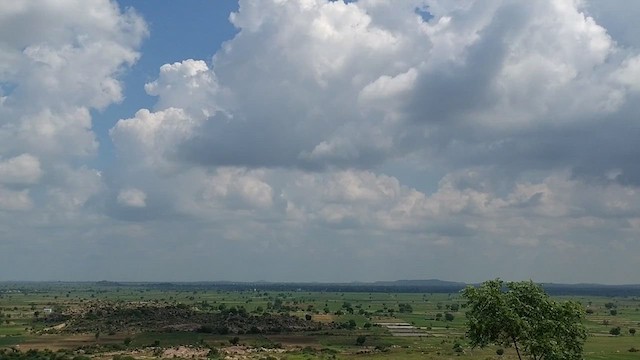 鳥類 - ML639943893
