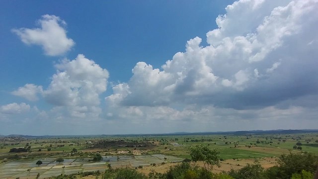 鳥類 - ML639943895