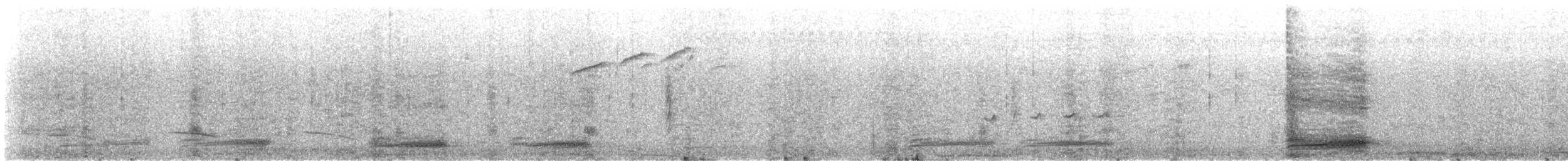 Pied Crow - ML639944985