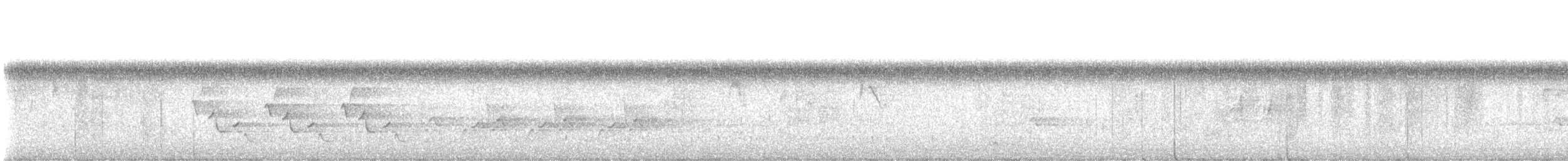 Carolina Wren - ML639945117