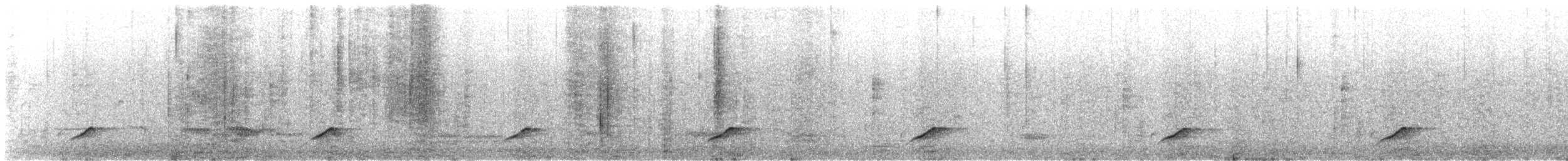 Black-backed Puffback - ML639945620