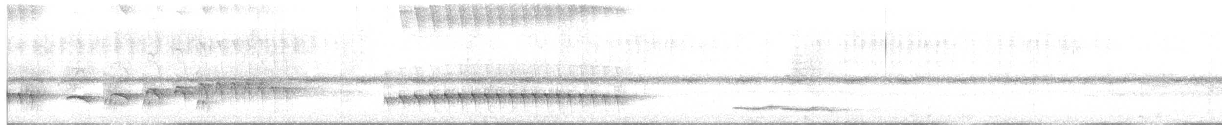 Dusky Antbird - ML639946552