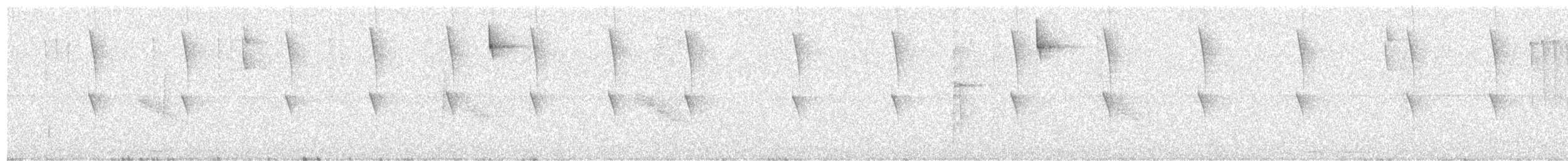 Rivoli's Hummingbird - ML639947102