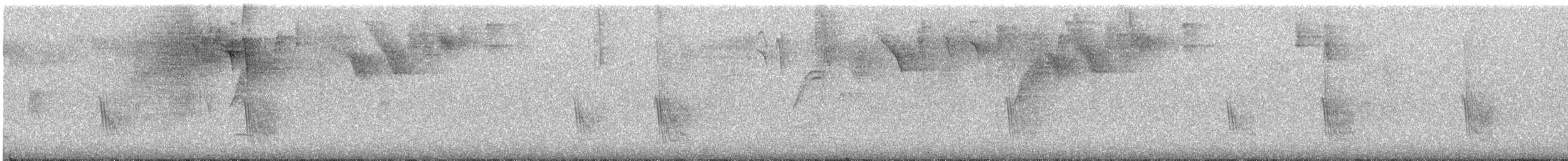 Caribbean Martin - ML639949488