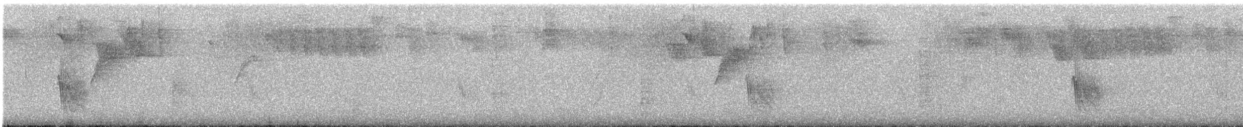 Caribbean Martin - ML639949490