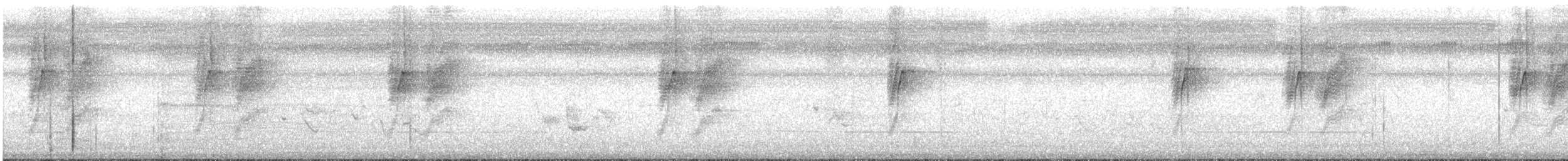 Black-naped Monarch - ML639949973