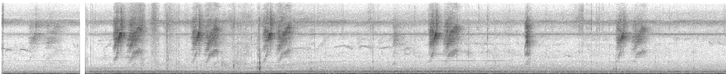 Black-naped Monarch - ML639949974