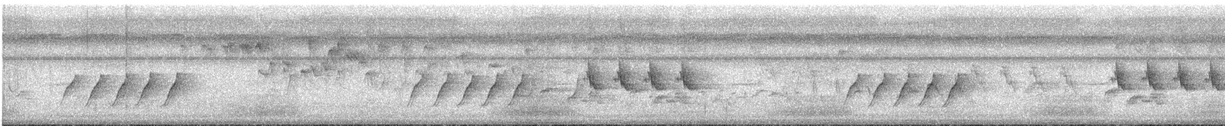 Black-naped Monarch - ML639949975