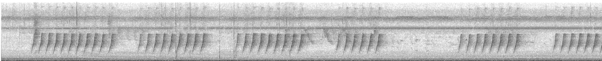 Black-naped Monarch - ML639949976