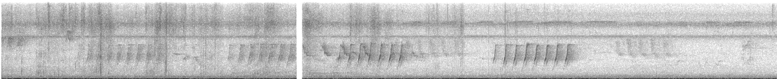 Black-naped Monarch - ML639949977