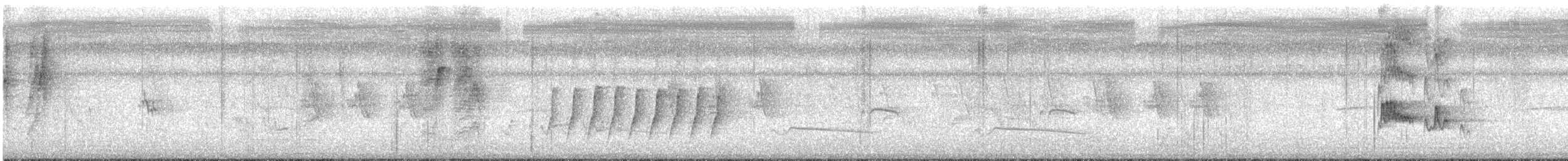 Black-naped Monarch - ML639949978