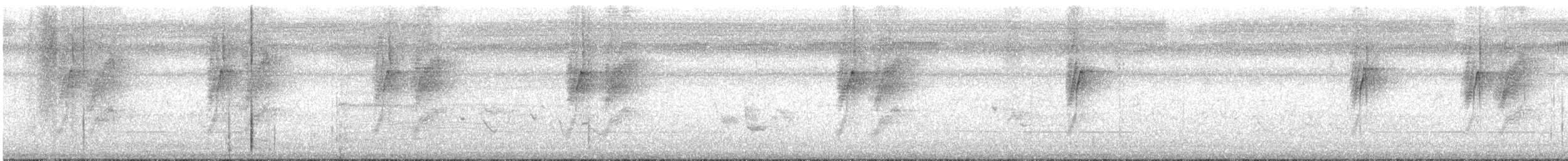 Black-naped Monarch - ML639949979