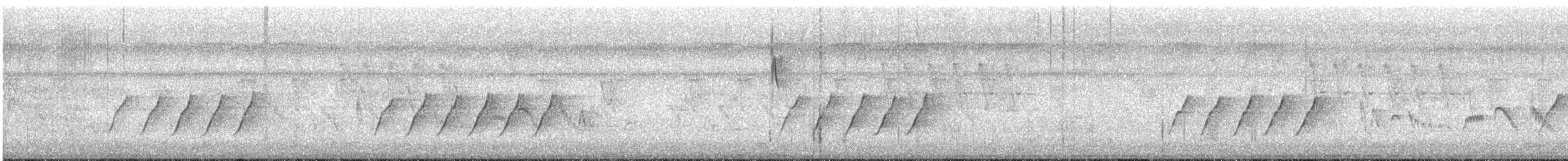 Black-naped Monarch - ML639949980