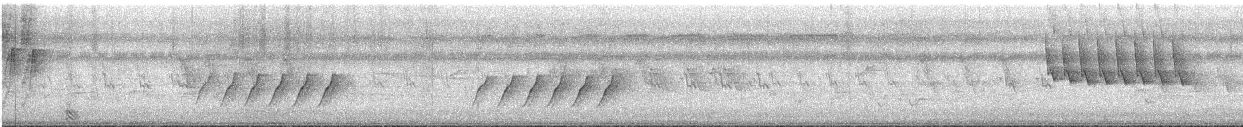 Black-naped Monarch - ML639950162