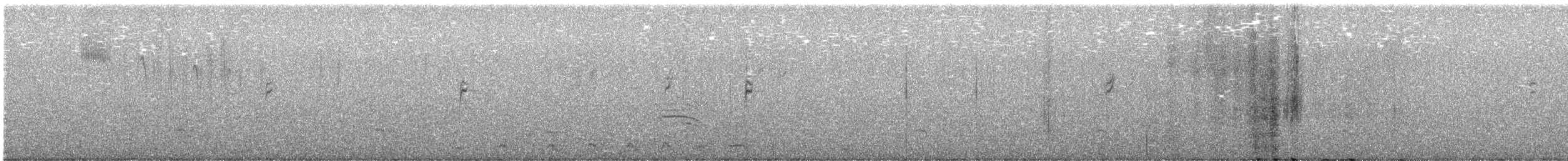 Himalayan Snowcock - ML639950659