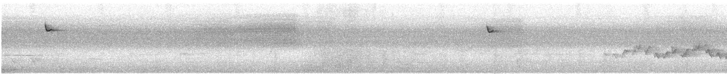 キメジロハエトリ - ML639951108