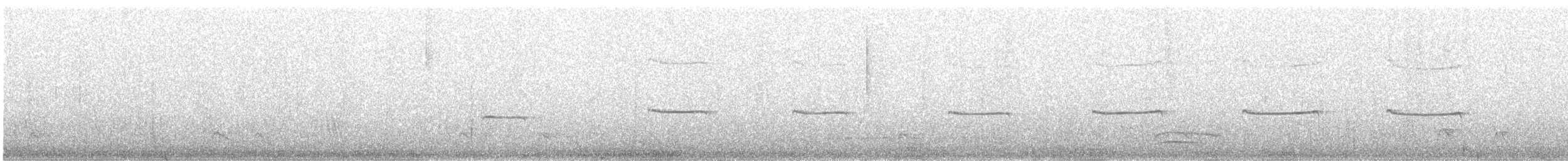 Buco Rayado (minor) - ML639952582