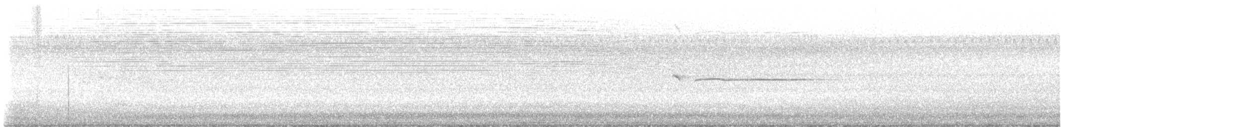 Broad-winged Hawk - ML639952994
