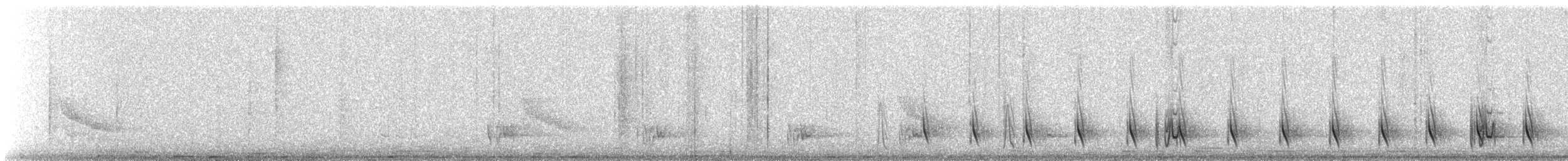 Grisin de Cayenne - ML639953007