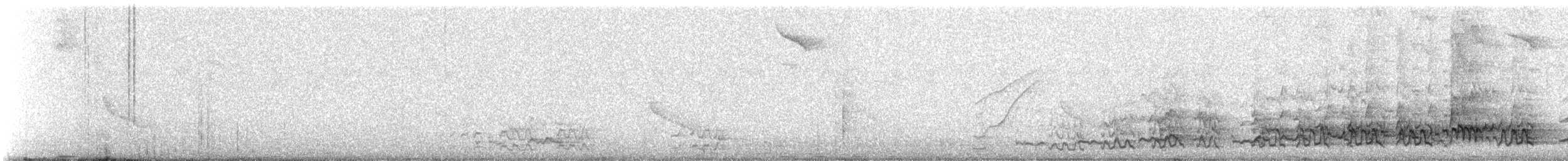 Black-fronted Nunbird - ML639953016