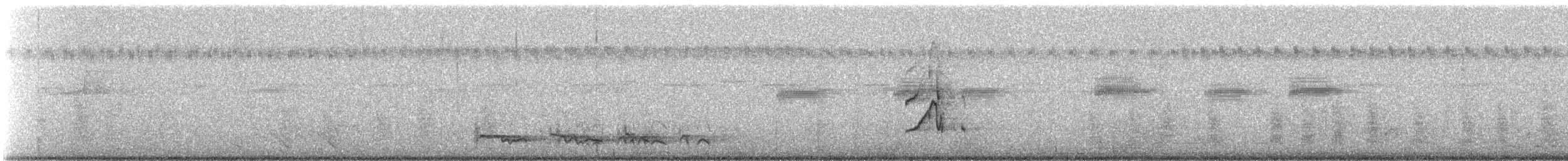 Kaatinga Pufkuşu (maculatus) - ML639954212
