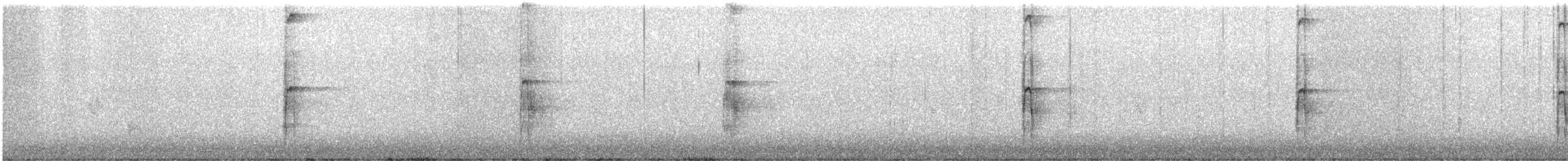 Haarspecht - ML639955480
