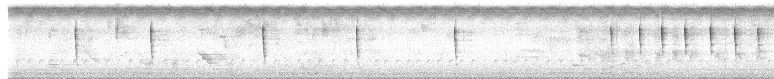svarthettebisp - ML639957169