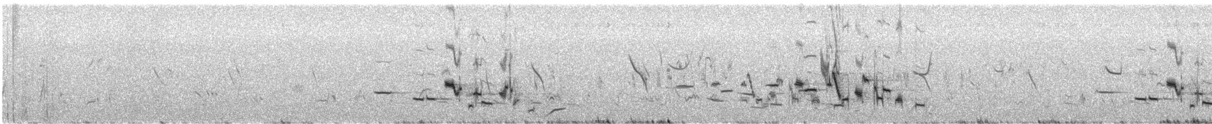 Sage Thrasher - ML639957171