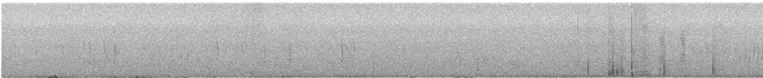 Plectrophane à ventre gris - ML639957349