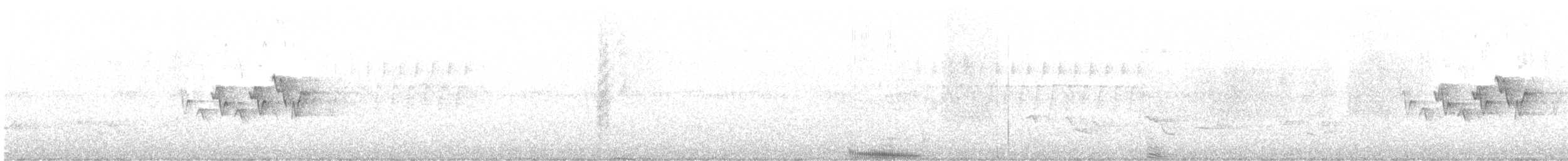 Magnolia Warbler - ML639957663