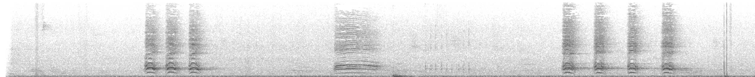 American Crow - ML639957806