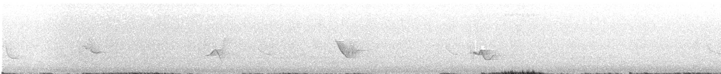 Blue-headed Vireo - ML639957992