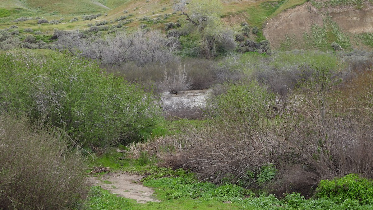 null - ML639959730