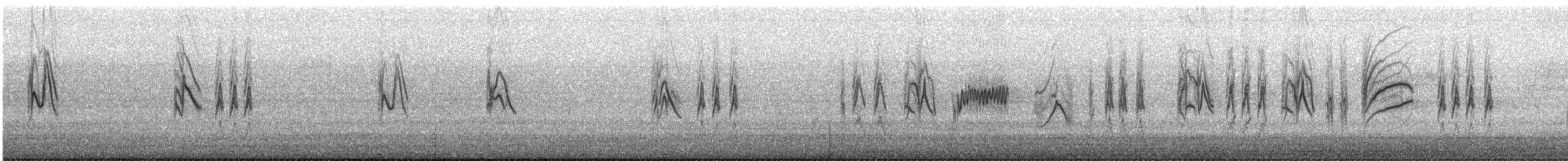 Pine Siskin - ML639961812