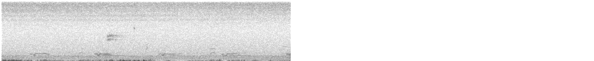 ネルソントゲオヒメドリ（nelsoni／altera） - ML639963839