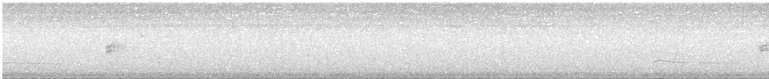 ネルソントゲオヒメドリ（nelsoni／altera） - ML639963842