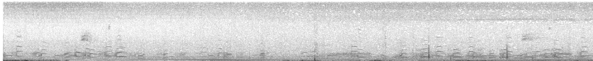 ネルソントゲオヒメドリ（nelsoni／altera） - ML639963844