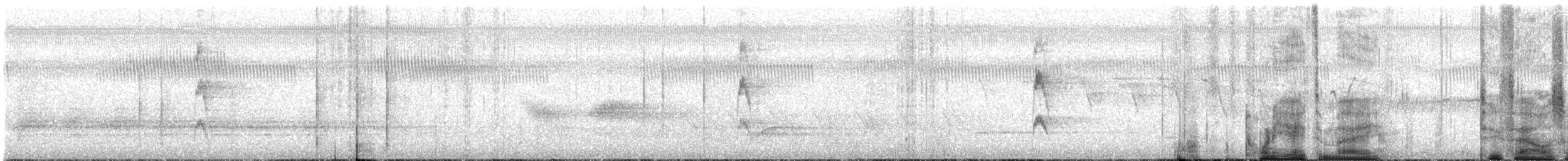 Red-cockaded Woodpecker - ML639964046