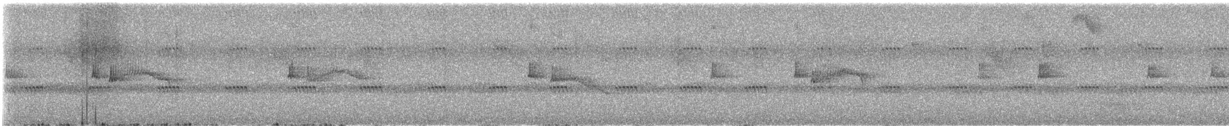 Greenish Elaenia - ML639966711